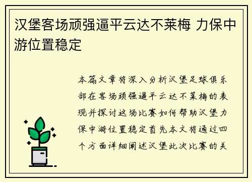 汉堡客场顽强逼平云达不莱梅 力保中游位置稳定